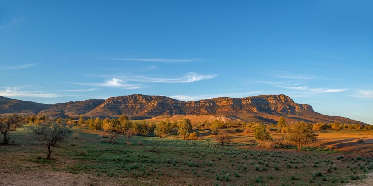 Отель Rawnsley Park Station Flinders Ranges Экстерьер фото