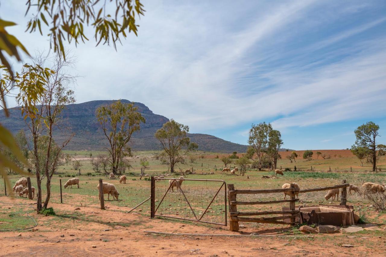Отель Rawnsley Park Station Flinders Ranges Экстерьер фото